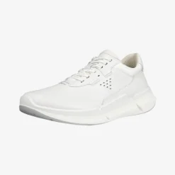 BIOM 2.2 Lea