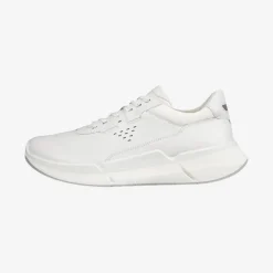BIOM 2.2 Lea