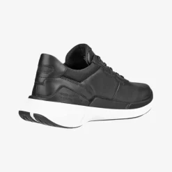 BIOM 2.2 Lea