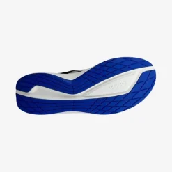 BIOM 2.2 Lea Tex