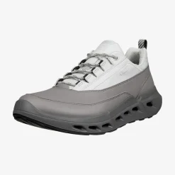 Biom 720 Men's Low Gore-Tex lædersko