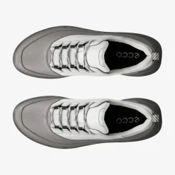 Biom 720 Men's Low Gore-Tex lædersko
