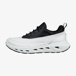 Biom 720 Men's Low Gore-Tex lædersko
