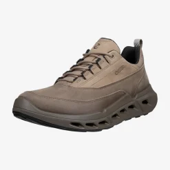 Biom 720 Men's Low Gore-Tex lædersko