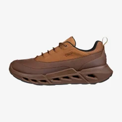 Biom 720 Men's Low Gore-Tex lædersko