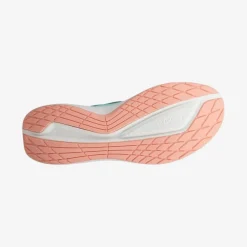 BIOM 2.2 Speedlace
