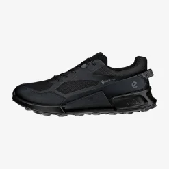 Biom 2.1 X Mtn Gore-Tex sko