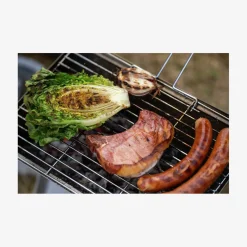 Foldbar grill