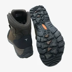 Lynx BOA 6