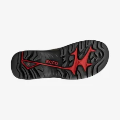 Offroad Shoe