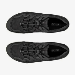 Terracruise LT Women's sko