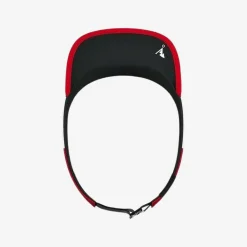 Visor